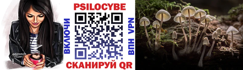 где купить наркоту  сайты даркнета телеграм  Галлюциногенные грибы мицелий  Барабинск 