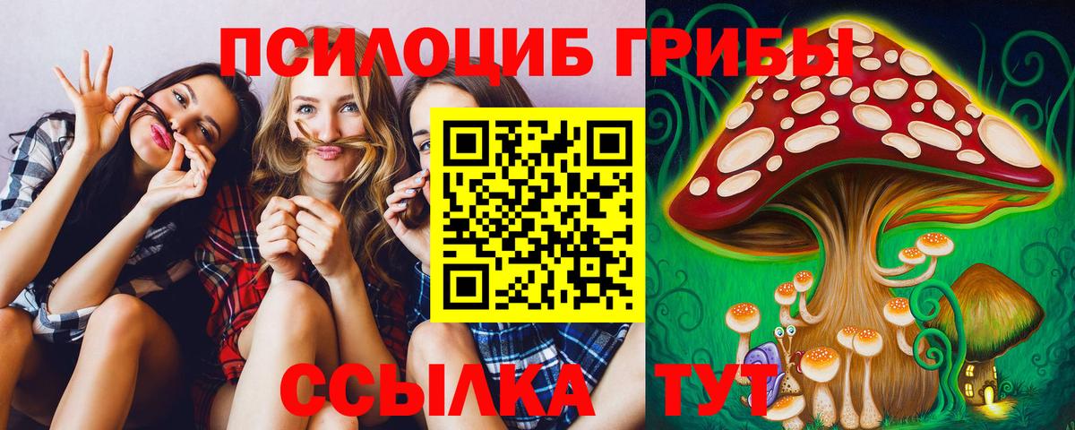 Псилоцибиновые грибы Psilocybine cubensis Барабинск